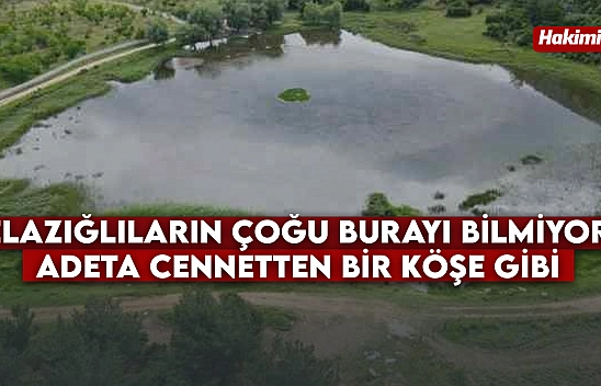 Elazığlıların çoğu burayı bilmiyor! Adeta cennetten bir köşe gibi...