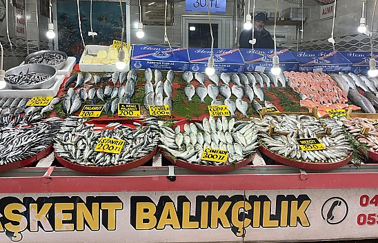 Elazığlıların vazgeçilmez balığı cep yakıyor