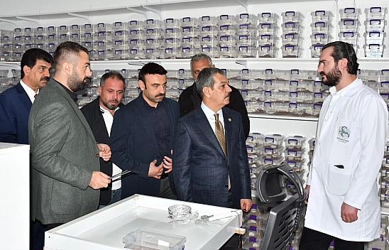 Erol Keleş, akrep zehri üretimini yerinde inceledi