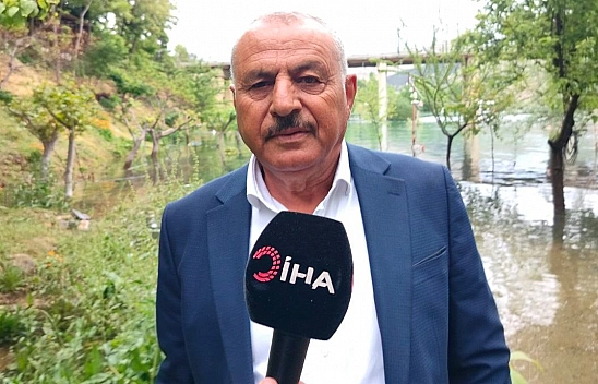 Fırat Nehri'nde akıntı arttı: Binlerce balık kıyıya akın etti