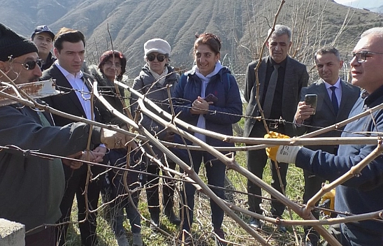 FÜ Keban MYO Tarafından Çiftçilere Bağ Budama Eğitimi Verildi
