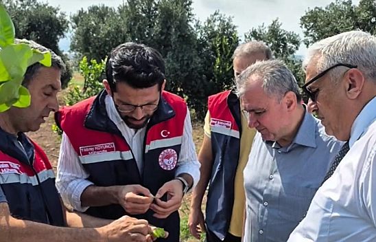 Gıda ve Kontrol Genel Müdürlüğü'nden B-Reçete vurgusu