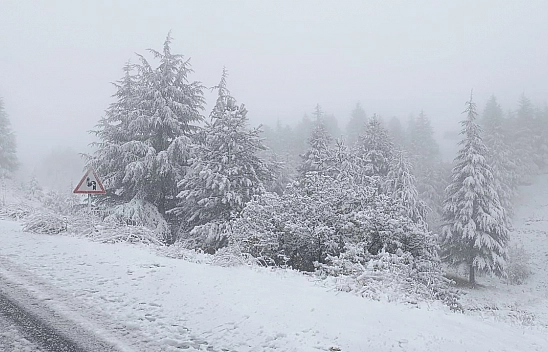 Harput'a Yılın İlk Karı Düştü
