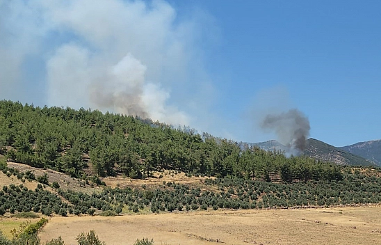 Hatay'da Orman Yangını