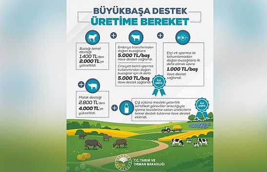 Hayvancılık desteklerinde büyük artış: Üreticilere müjde