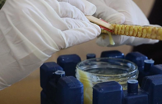 Her Derde Deva: 100 Gramı 2 Bin 500 Lira!