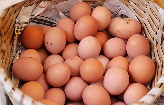 Her Gün Yumurta Yiyenler Yandı! Verdiği Zararı Duyan Bir Daha Ağzına Sürmüyor