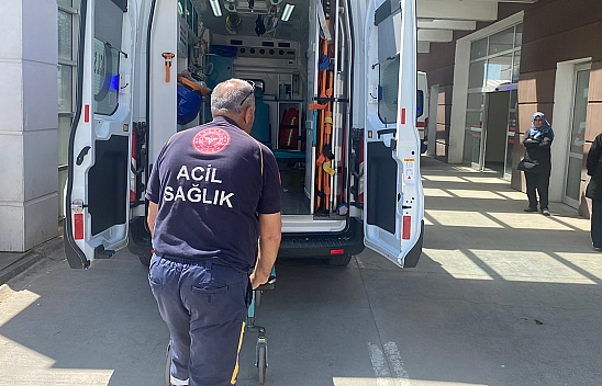 İki Kardeş Saldırıya Uğradı