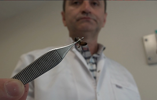 İşte 5 Bin Yıllık Doğal Tedavi, İyileşmek İsteyenler Sıraya Giriyor!