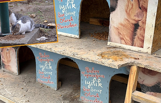 İşte Elazığ dedirten görüntüler