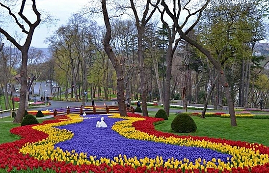 İşte zirvede ki o il!