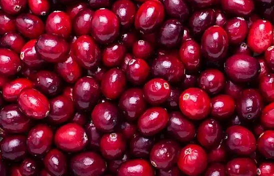 Kanser Hücrelerini Yok Ediyor