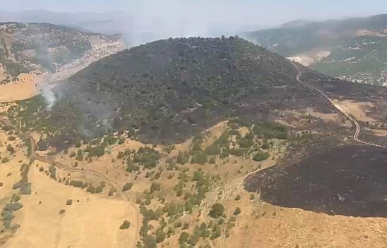 Karakoçan'da orman yangını kontrol altına alındı