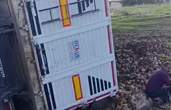 Karakoçan'da pancar yüklü kamyon yan yattı