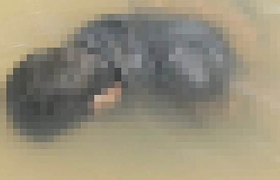 Kaybolan Gencin Cesedi Bulundu