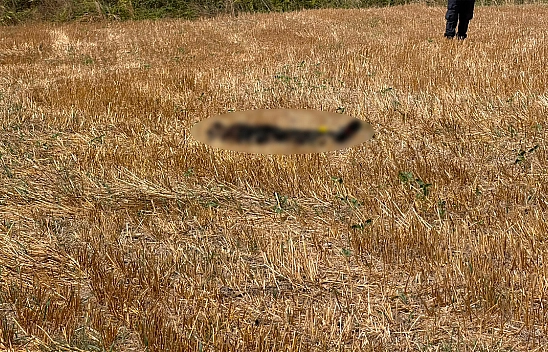 Kayıp olan adamın cesedi 15 gün sonra bulundu