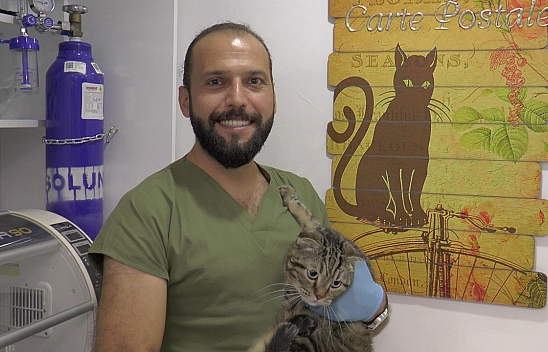 Kedi Virüsü Gebeliği Sonlandırabilir