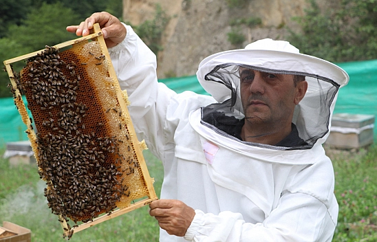 Kilogram Fiyatı Altınla Yarışıyor!