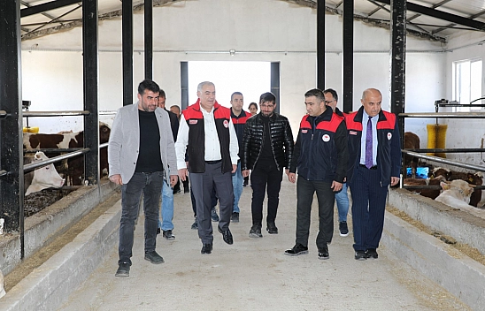 KKYDP desteğiyle Kovancılar'da yeni besi işletmesi hizmete girdi