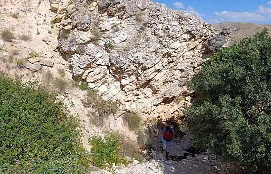 Komşu İlde İlginç Olay! Biri Uçurumdan Atlayınca Diğerleri Peşinden Koştu: 43 Koyun Telef Oldu