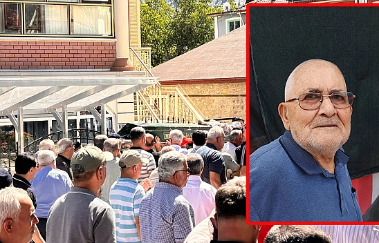Konya'da kaskına arı girdi, faciaya yol açtı: Ölü ve yaralı var