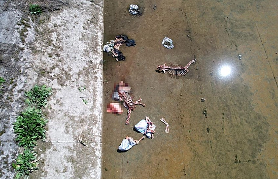 Kötü Kokuyu Şikayet Ettiler, Gördükleri Kemikler Nedeniyle Dehşete Düştüler!