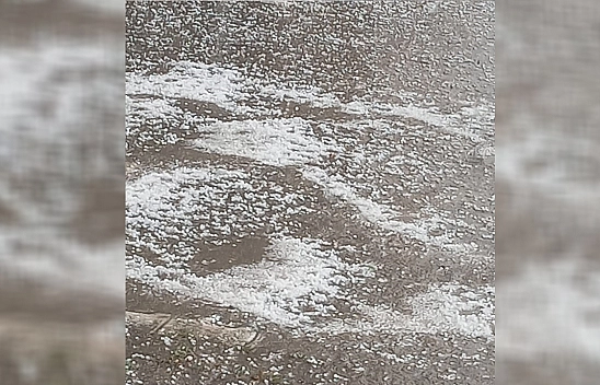 Kovancılar'da dolu etkili oldu