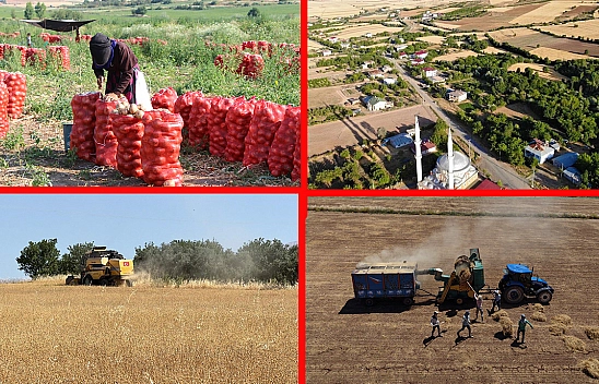 Köyler boşalıyor, üretim risk altında