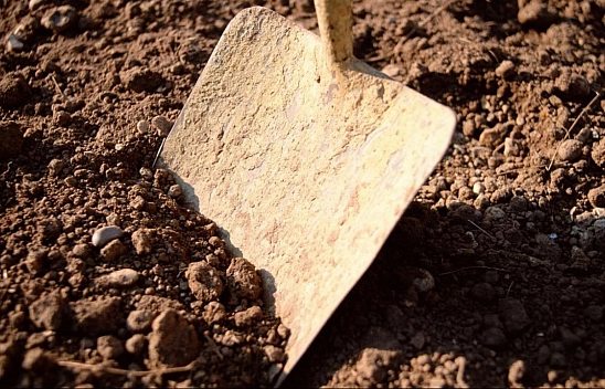 Köylülerin gizli tarım tekniği: Bu yöntem resmen hayat kurtarıyor!