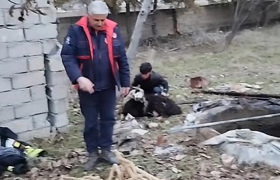 Kuyuya düşen koyunu ekipler kurtardı