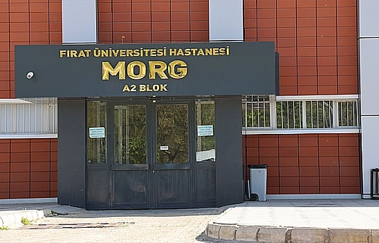 Kuzen dehşeti: Elazığ'da taksici araçta silahla vurularak öldürüldü