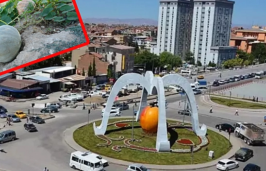 Malatya'da kayısı üreticileri alternatif ürünlerle gelir sağlıyor