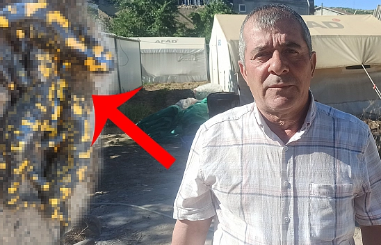 Malatya'da Kayısı Üreticisi Çiftçi Adam, Bahçesindeki havuza Bakınca Gözlerine İnanamadı Tam 8 Tane Hayvan Yan Yana Orada Duruyordu