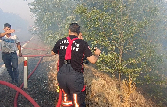 Malatya'daki orman yangınları kontrol altına alındı
