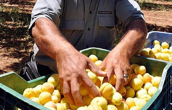 Malatya'dan Çağrı Var!