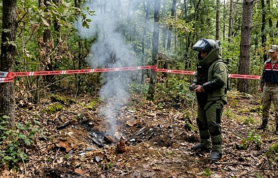 Mantar toplarken el bombası buldu