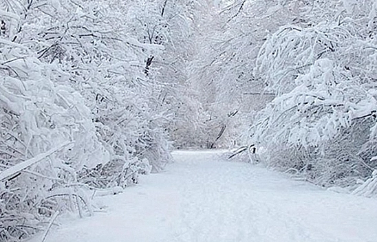 Meteoroloji'den Elazığ'a uyarı