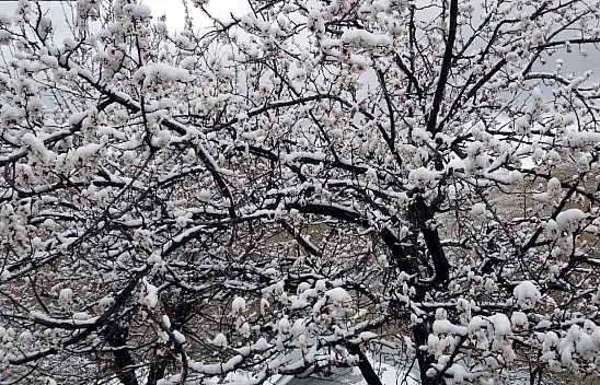 Meteoroloji'den Elazığ'a uyarı geldi!