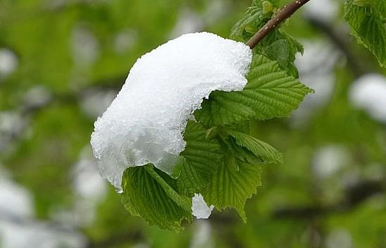 Meteoroloji uyardı! Elazığlılar tedbirinizi alın