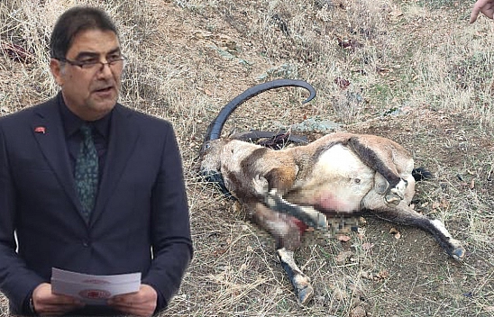 Milletvekili Karaman Tunceli'de kaçak avda yakalandı!