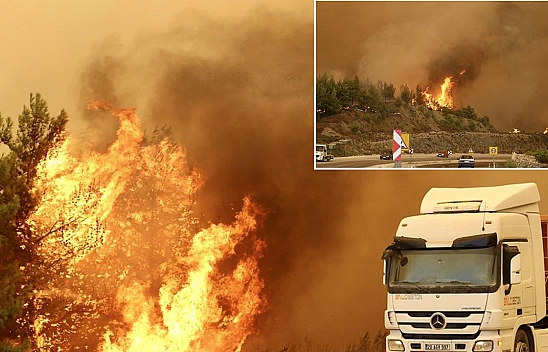 Muğla'da orman yangını: Evler tahliye edildi, yol kapatıldı