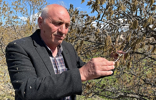 Muhtar Yasul: '50 yıldır böyle bir afet görmedik'