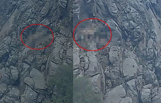 Nesli Tükenme Tehlikesi Altındaki Tırmanma Uzmanları Elazığ'da Görüntülendi