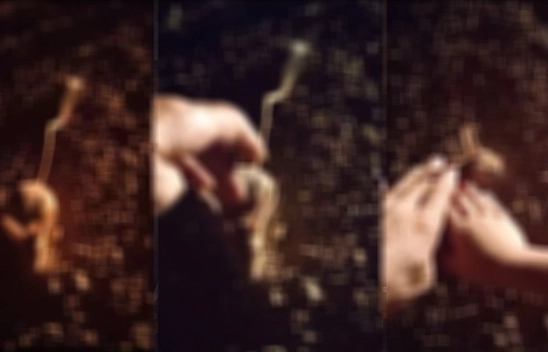 Nesli Tükenmekteydi Ama Çoğu Elazığ'da Görülüyor!