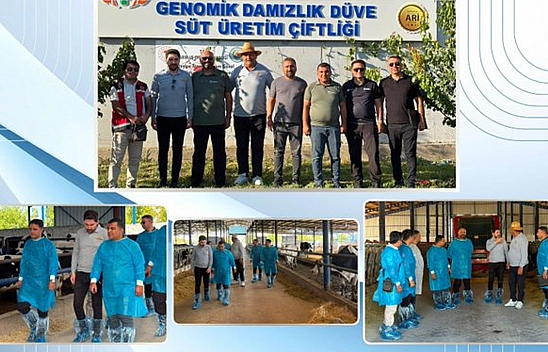 Niğde'de Türkiye'nin ilk hastalıktan ari genomik işletmesi değerlendirildi