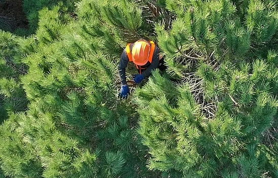 O kuruma daimi işçi alınacak! işte şartlar