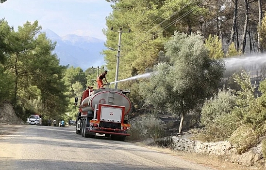 Orman yangınlarında bilanço ağır: 43 şüpheli, 11 tutuklama
