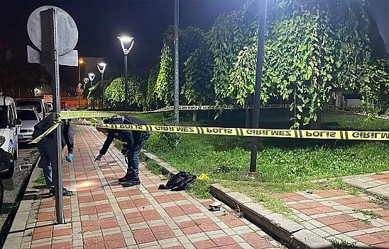 Parkta dehşet! 2 çocuk ağır yaralı