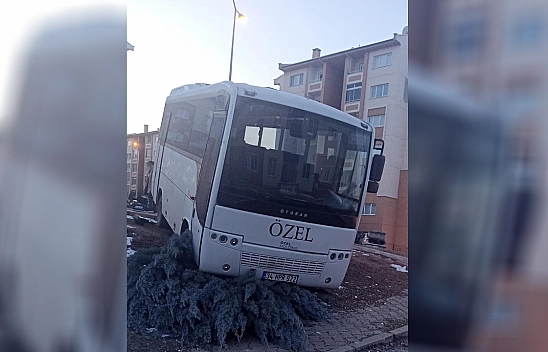 Elazığ'da Freni Patlayan Midibüs Kaldırıma  Çarpıp Ağacı Devirdi