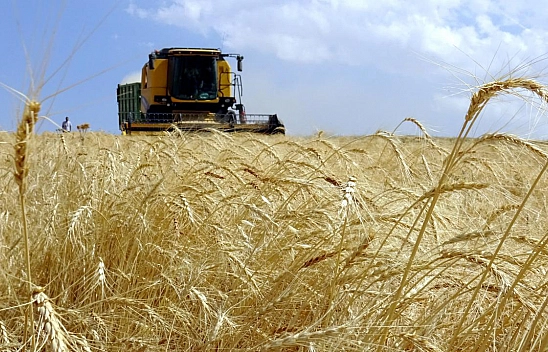 Resmi gazete'de yayımlandı: tarım alanlarında yeni kurallar